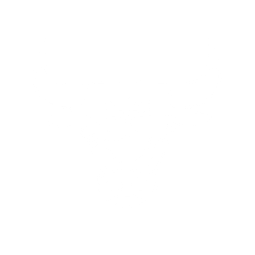 SMS-26-Logo-Website-Bulls