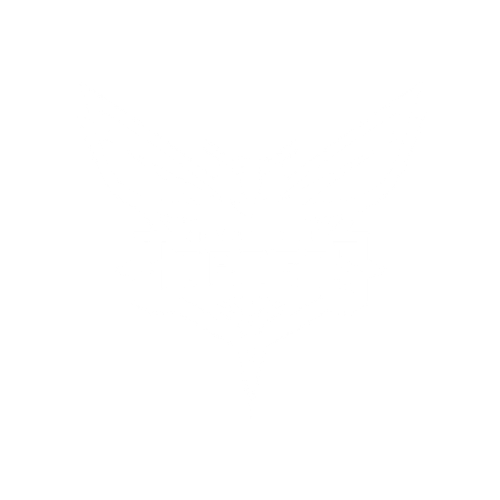 SMS-26-Logos-Website-CharlotteHornets